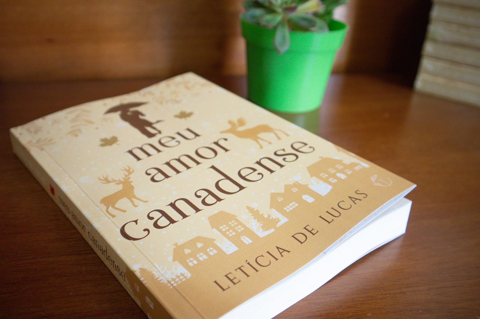 "Meu amor canadense", livro de Letícia de Lucas retrata história de amor entre brasileira e canadense em Vancouver